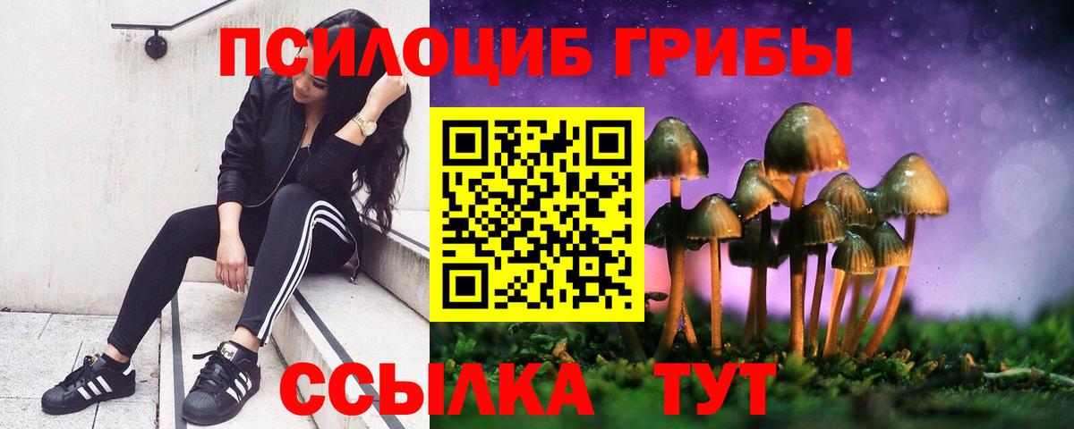 Улан-Удэ  Псилоцибиновые грибы мицелий  Вход с VPN 
